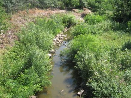 38 de pârâuri din bazinul Crişurilor au secat, dar încă nu se impun restricţii de consum